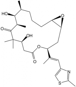 Epothilone A (Epo A) 152044-53-6